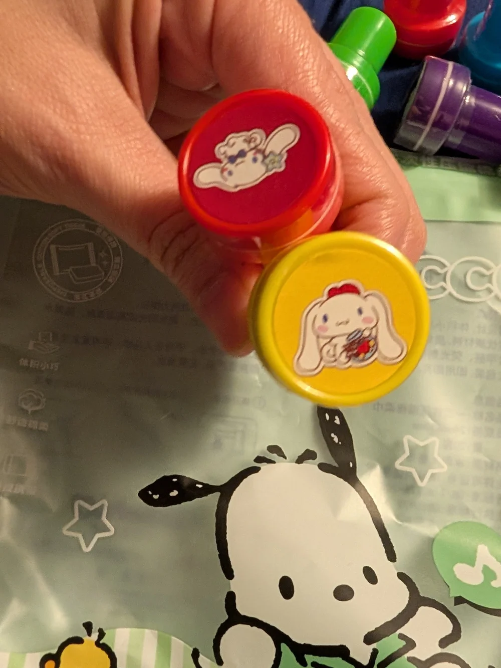 Sanrio branded kids